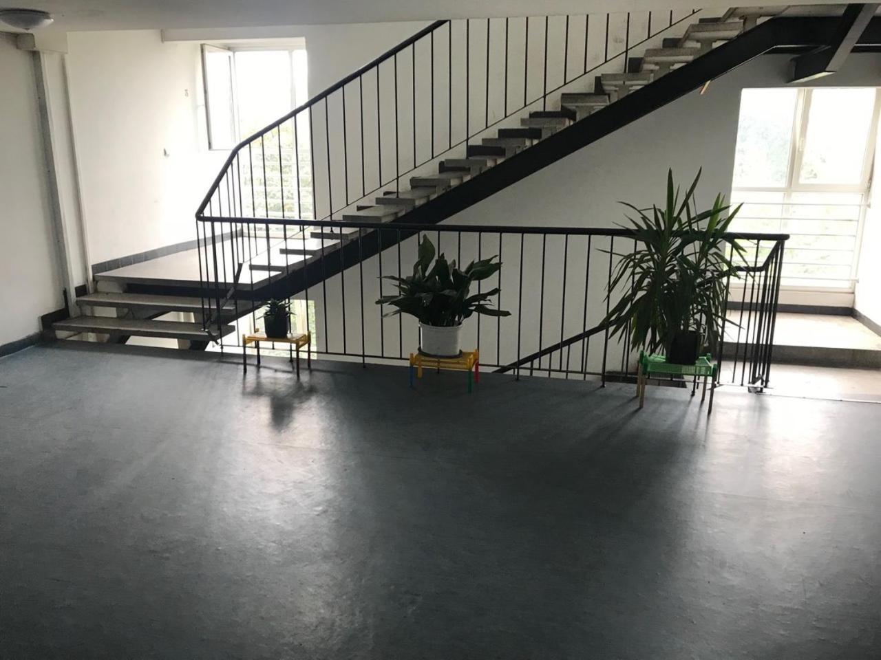 Arena Apartment